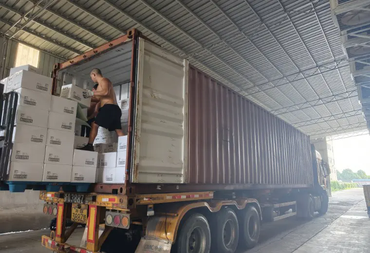 Kosda Jun 2026 Eksport Produk Kertas Dwi-Bekas | Ningbo